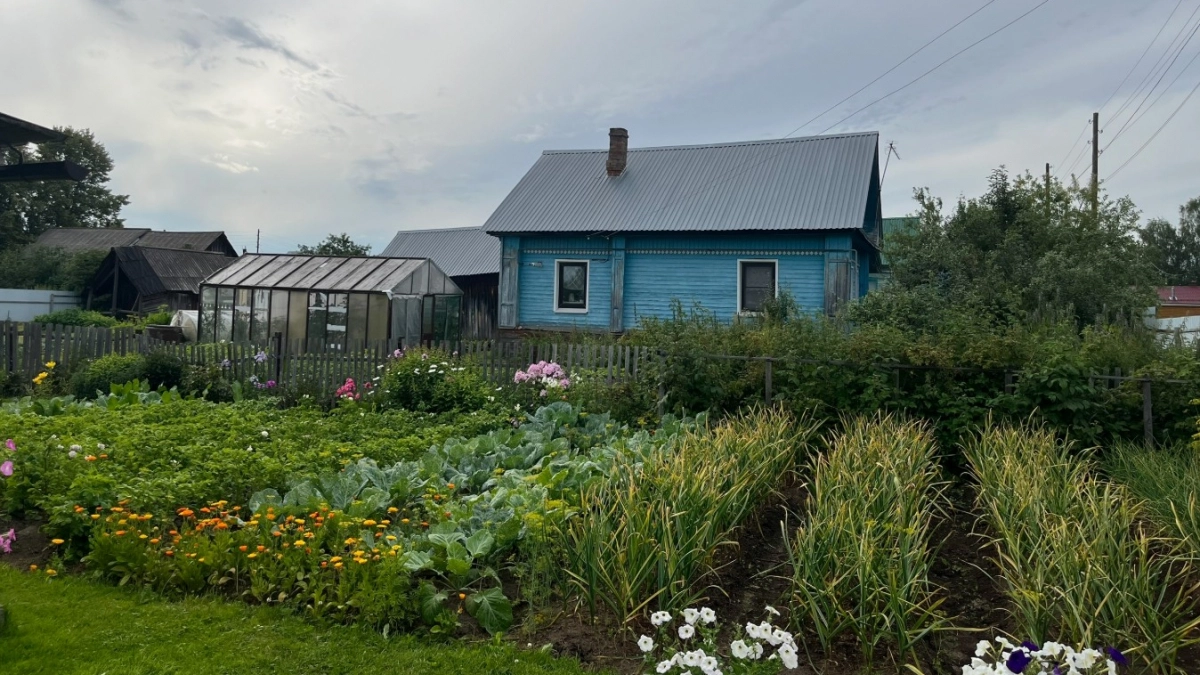 Как быстро отвести воду с крыши - простейший способ, который работает годами