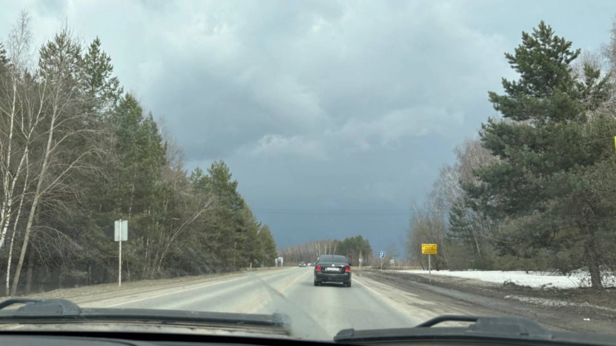 Съел конфету - лишился прав: какие продукты могут оставить без автомобиля - обязан знать каждый водитель