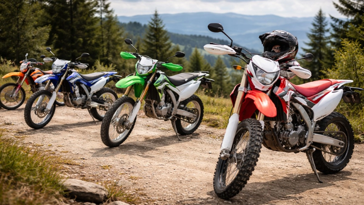 Какой мотоцикл выбрать новичку: топ-5 от опытного мотоциклиста, который чуть разбился на неподходящей технике