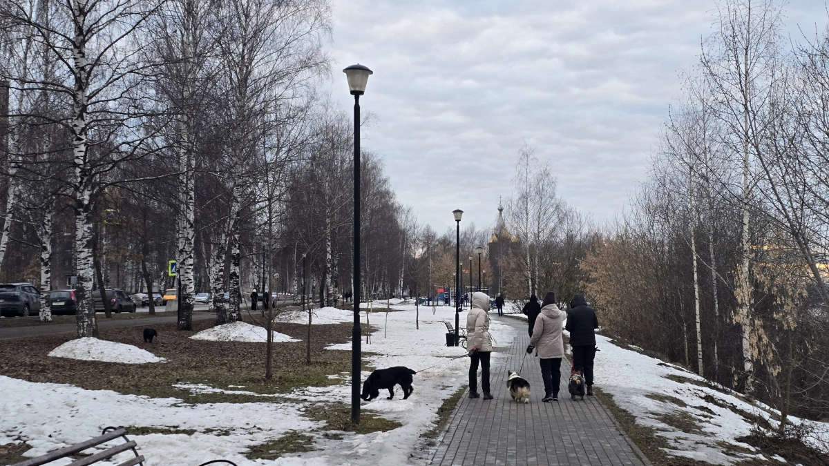 Жительница Кирово-Чепецка обобрала родную мать, чтобы вылечить ухажера из США