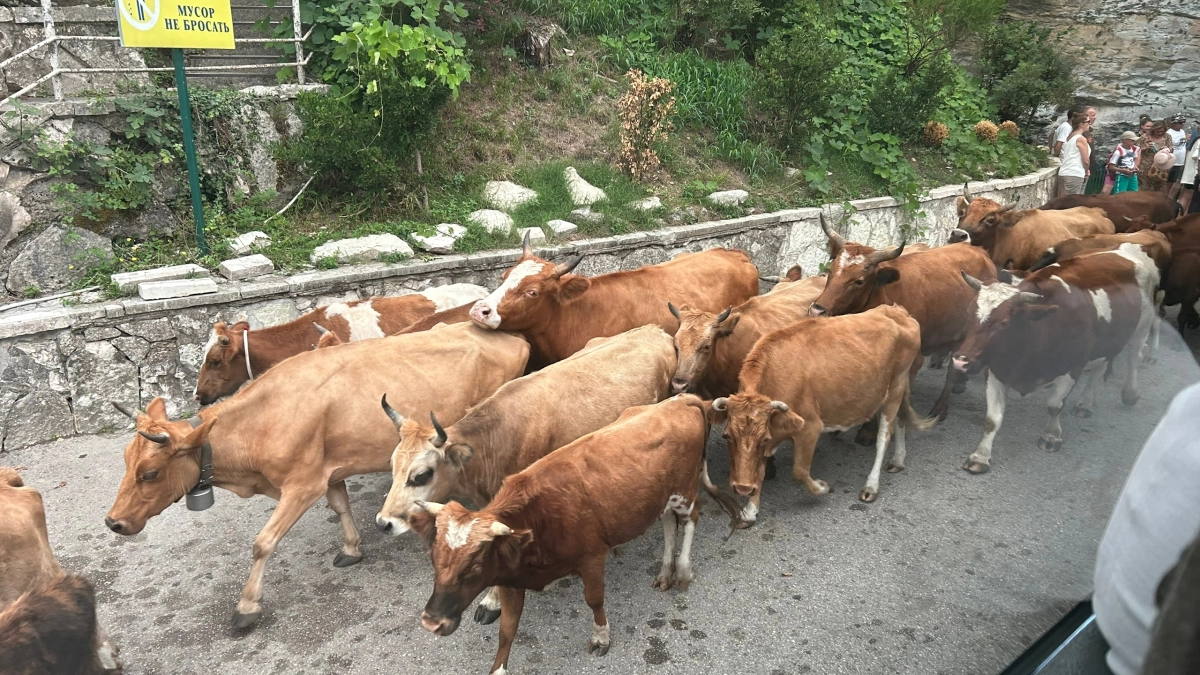 Куда в 2026 году уезжают из России: топ‑5 стран, где теперь живут россияне и радуются