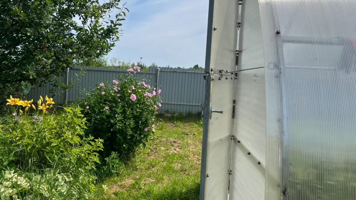 Все нос воротят, а я собираю - 4 хитрости с шишками в огороде: польза невероятная