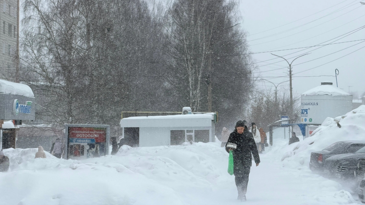 В Кировской области объявили предупреждение из-за снегопадов и усиления ветра