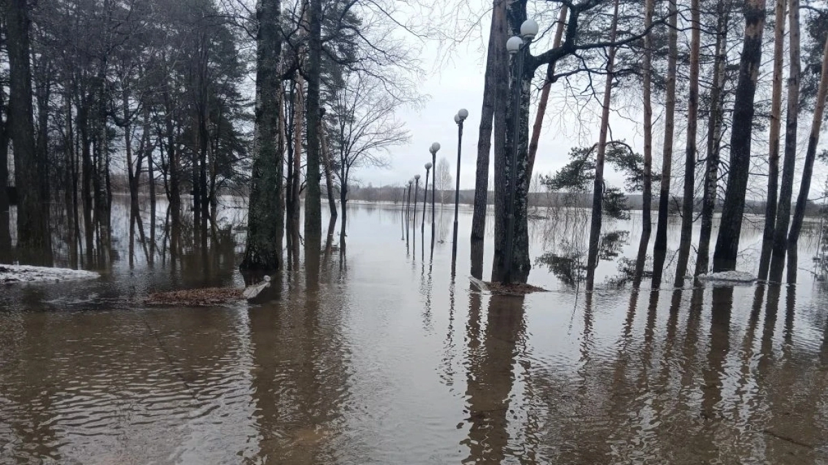 Половодье сильно ударило по одному крупному поселку в Кировской области