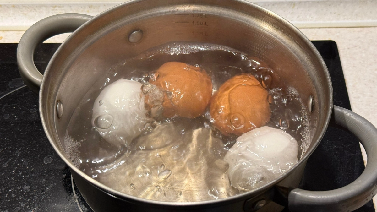 Перестала варить яйца в кастрюле: 3 способа приготовить их идеально, чтобы не лопались и не переваривались