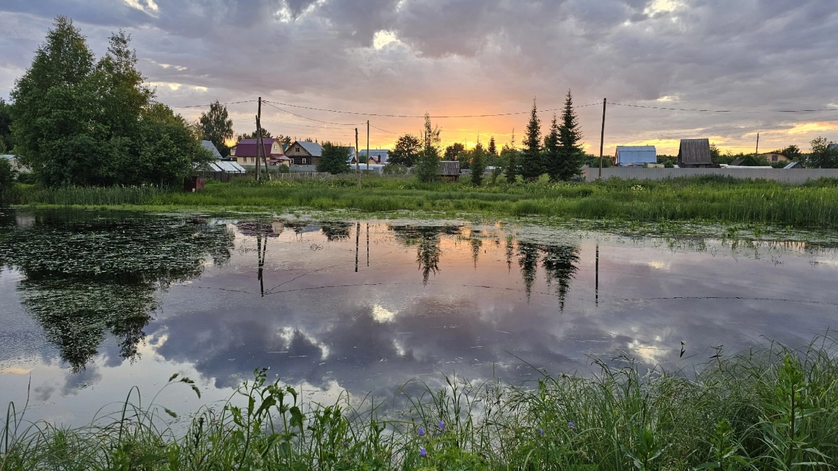 Сбежали от города в глушь и озолотились без скота: пенсионеры нашли гениальный бизнес в деревне