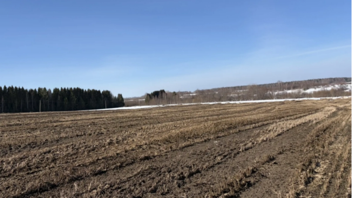 Сельхозпредприятие в Кировской области складывает навоз прямо на поле