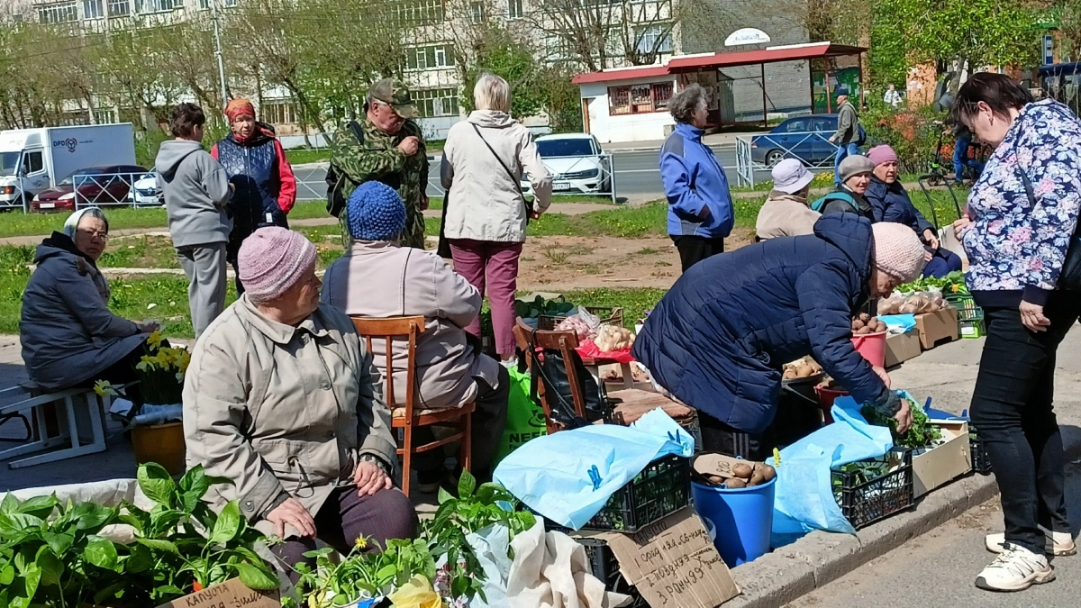 Фермерская еда — не всегда безопасная. Рассказываю, почему я выбираю продукты из супермаркета, а не с рынка