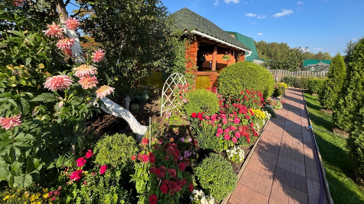 Только 7 цветов, и ваша дача превратится в цветущий рай на всё лето. Никаких танцев с бубном