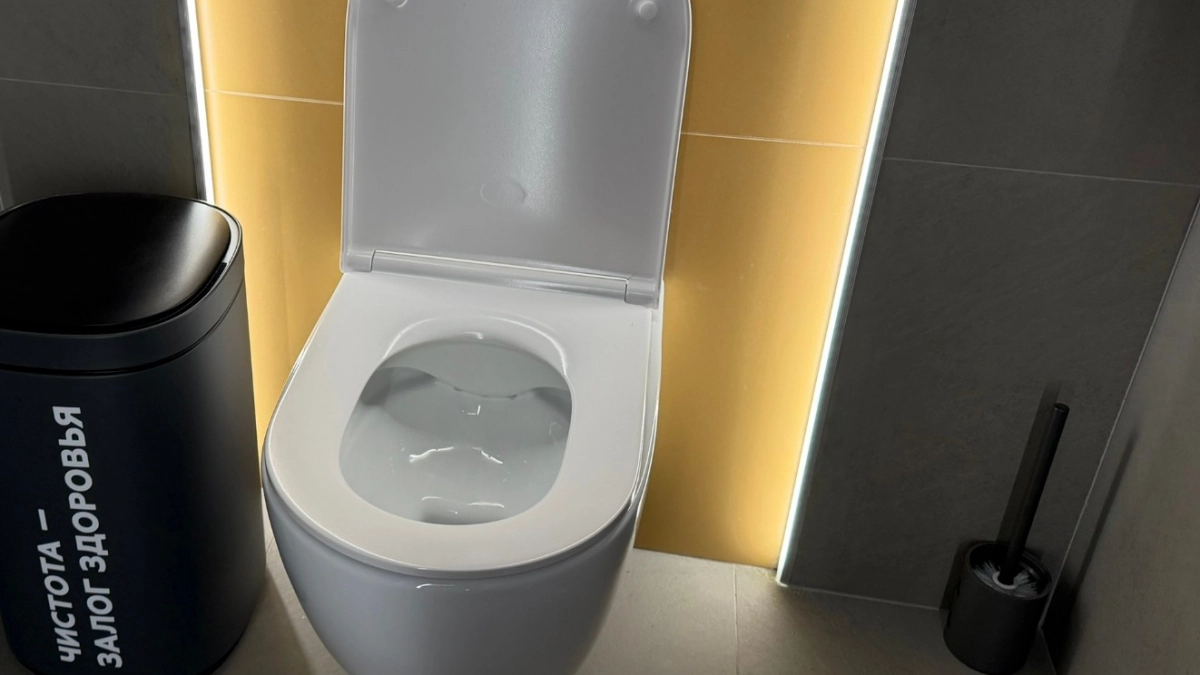 Японцы садятся на унитаз лицом вперед - оказывается, в этом есть логика 