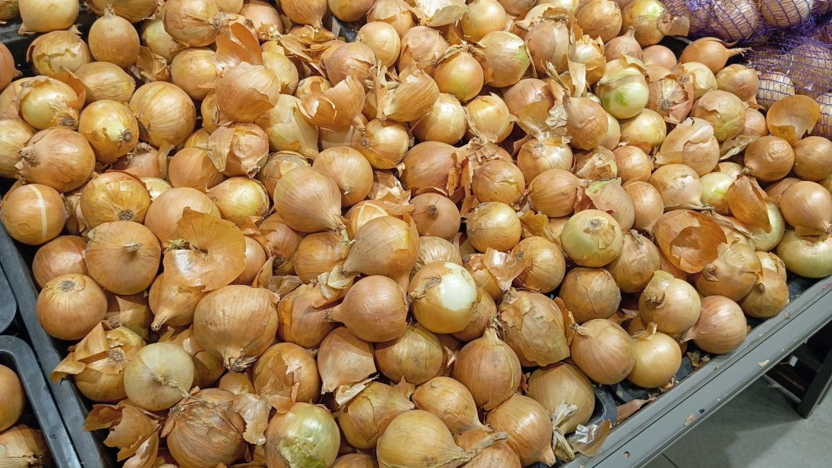 Перестала покупать лук-севок: сажаю семенами по этому методу — и урожай всегда отличный