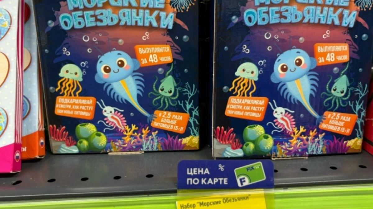 В Фикс Прайсе нашла отличные игрушки для детей - даже самой стало интересно: делюсь покупками