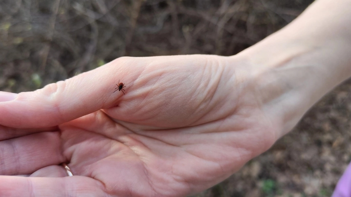 В апреле 2 капли на одежду - и клещи даже не думают атаковать: защищает целый день, подходит для детей