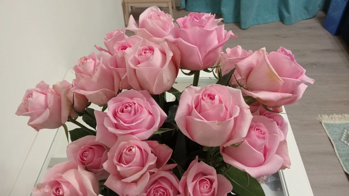 Надо ли снимать упаковку с букета — флористы раскрыли секрет, о котором молчат продавцы цветов