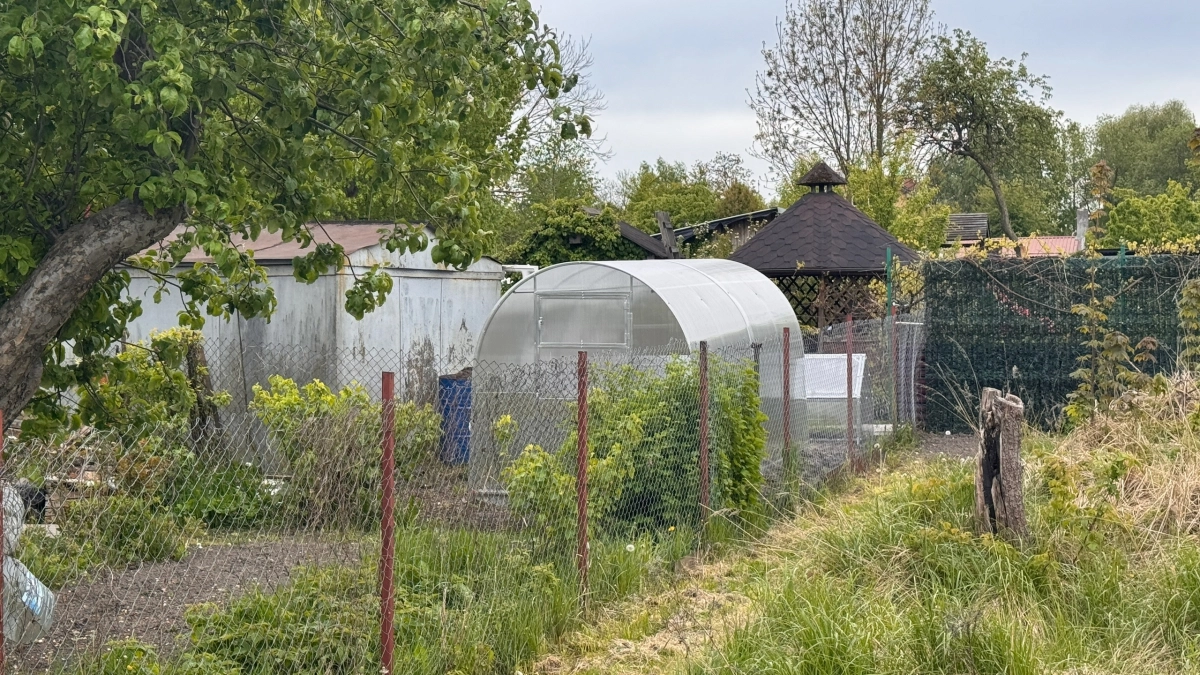 30 минут и теплица готова: как я мою, дезинфицирую и прогреваю почву перед высадкой рассады в апреле