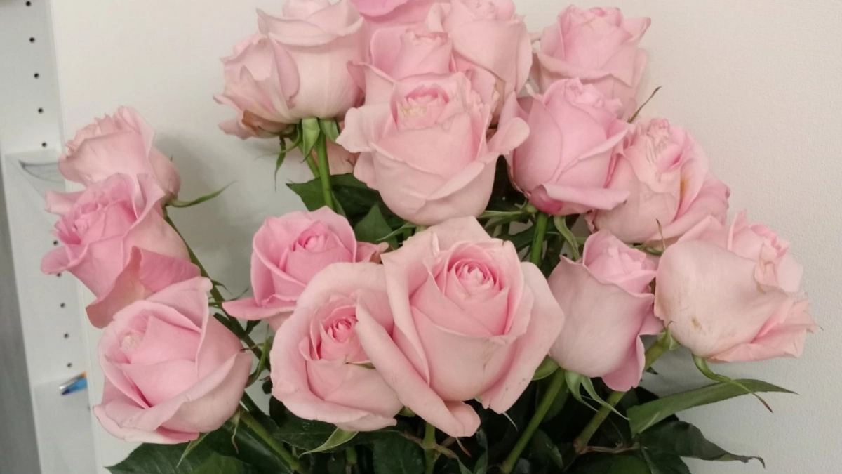 Перестала говорить мужу одну фразу - и он завалил букетами цветов: отношения разделились на "до" и "после"