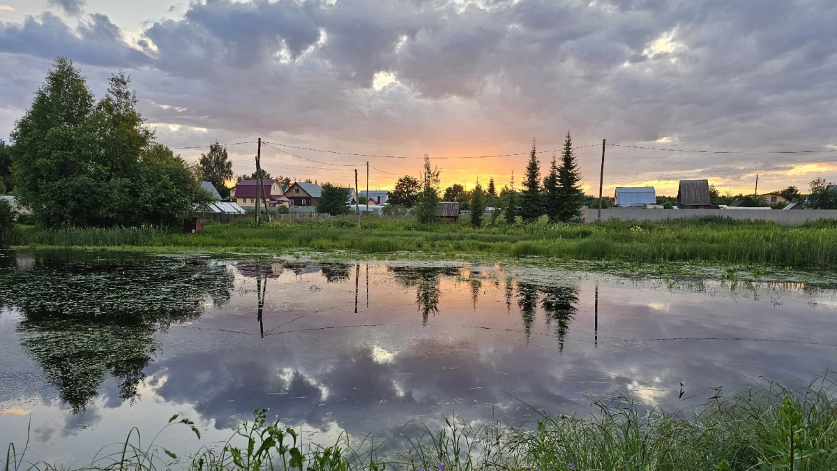 Разобрали даже древние развалюхи: люди кинулись покупать дома в деревне, но жестко ошибаются — есть подвох