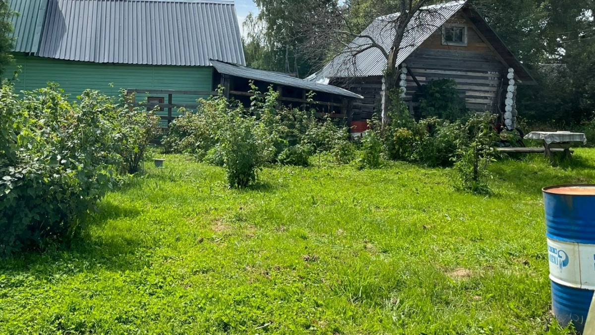 Зацвела вода в садовой бочке - один трюк и о надоевшей проблеме можно забыть раз и навсегда