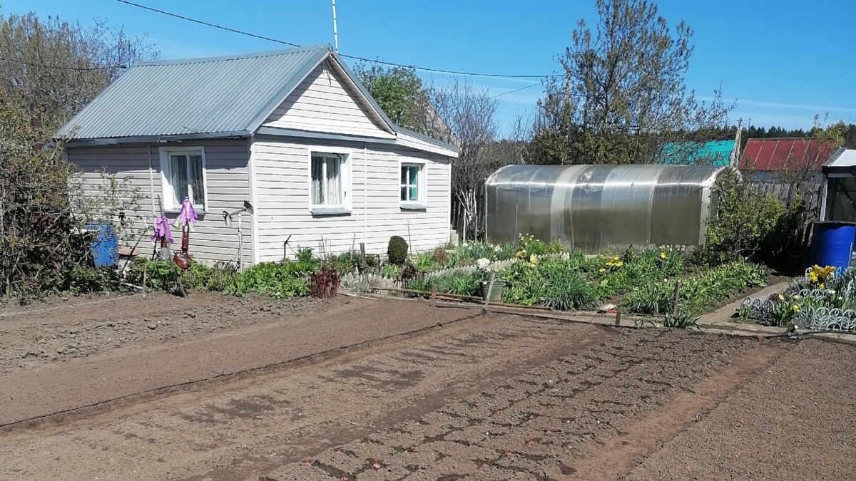 Больше никакой глины под ногами: 3 решения для дачных дорожек, которые реально спасут от грязи в 2026 году