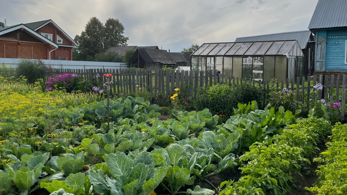 Перепробовал 7 видов садовых дорожек на участке — оставил только 2, которые не разваливаются: советую их и вам