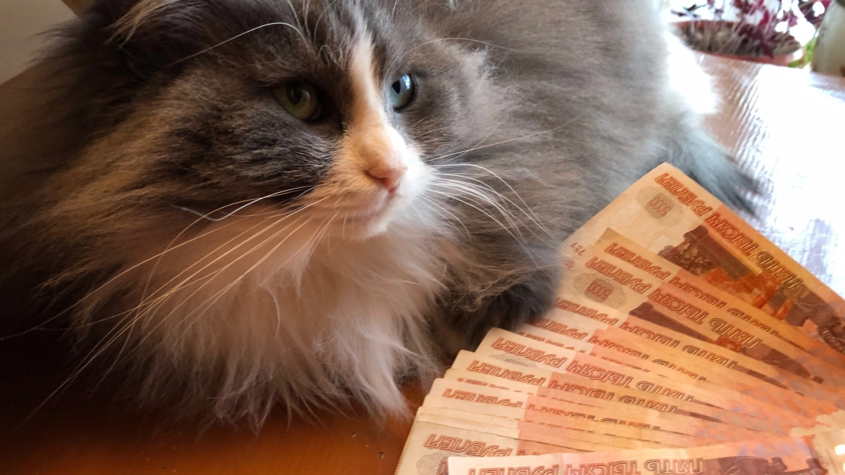 Зарабатываю в 10 раз больше бабушки, а денег нет, а у нее всегда были. Вот 8 ее правил, над которыми я раньше смеялась