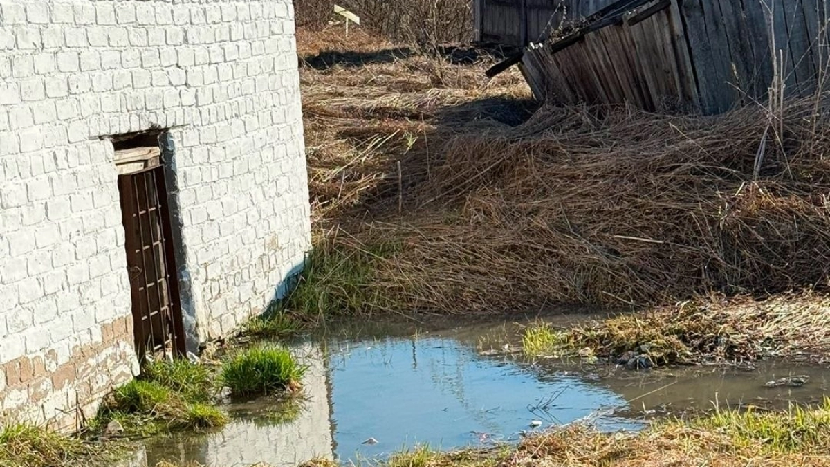 Канализационные отходы заливают реку Юг в Подосиновце