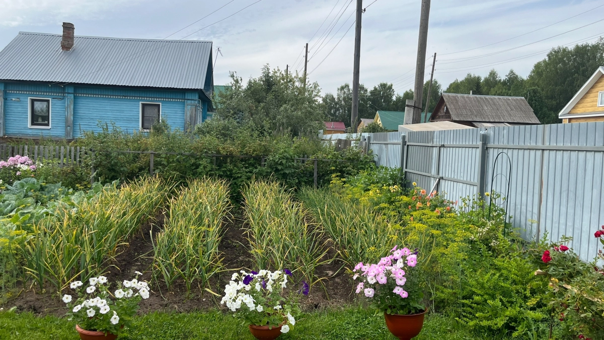 Забудьте про календарь: как правильно обрабатывать сад от вредителей в 2026 году - советы от хитрых огородников