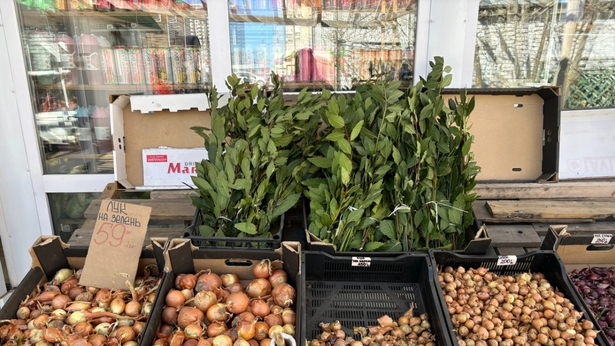 Не кладите лаврушку в эти 5 блюд, иначе спасет только ведро: запомните список раз и навсегда