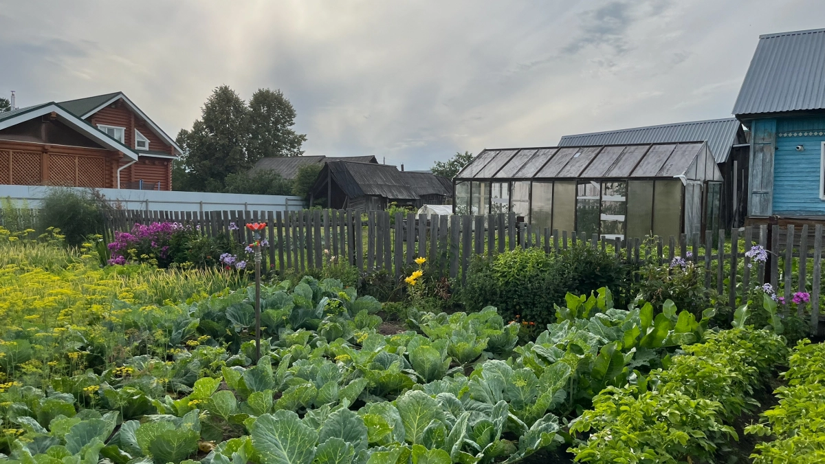 Я просто выливаю в апреле этот раствор на сорняки и они сразу засыхают: делюсь хитростью для дачи