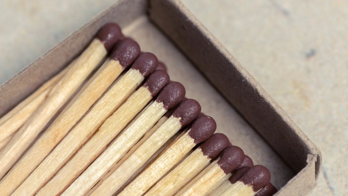 Спичка в лунку: как я получил малину размером с орех и без единого червяка (работает на 100%)