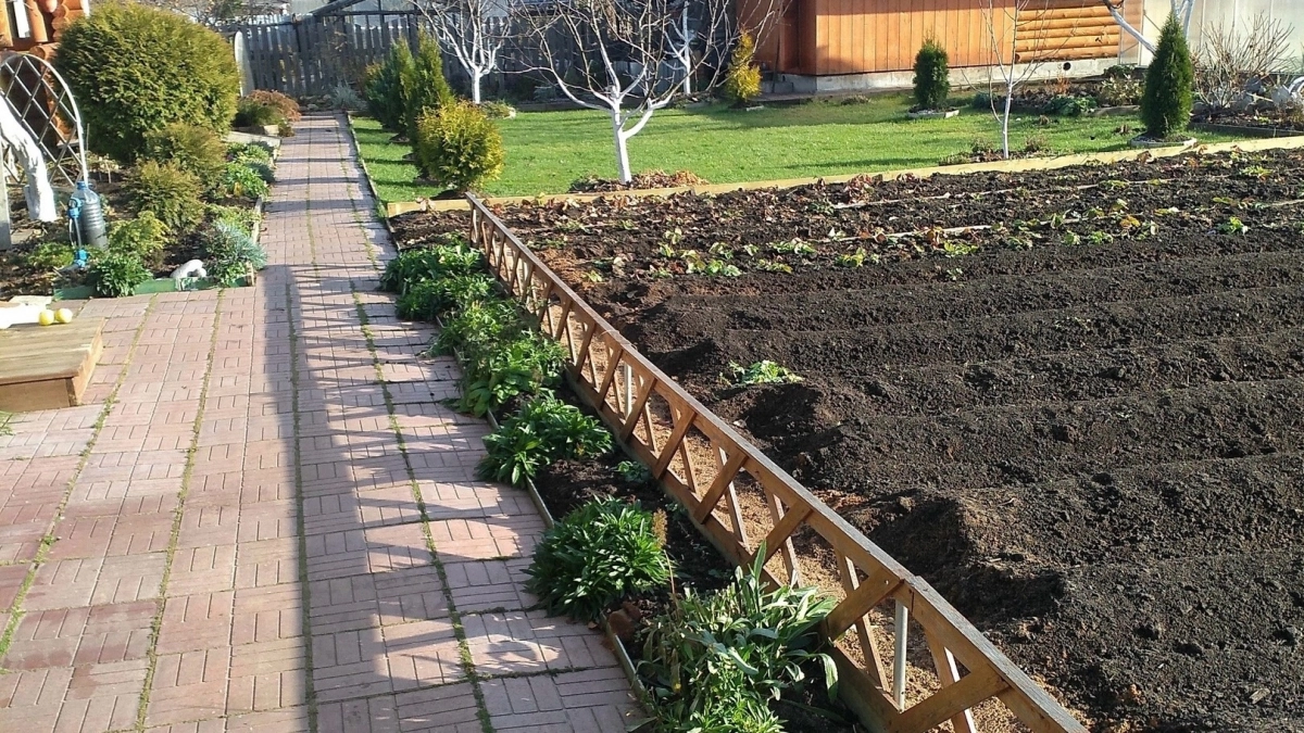 Ни проволочника, ни хруща в почве не будет: чем пролить грядки весной — соседи приходят смотреть