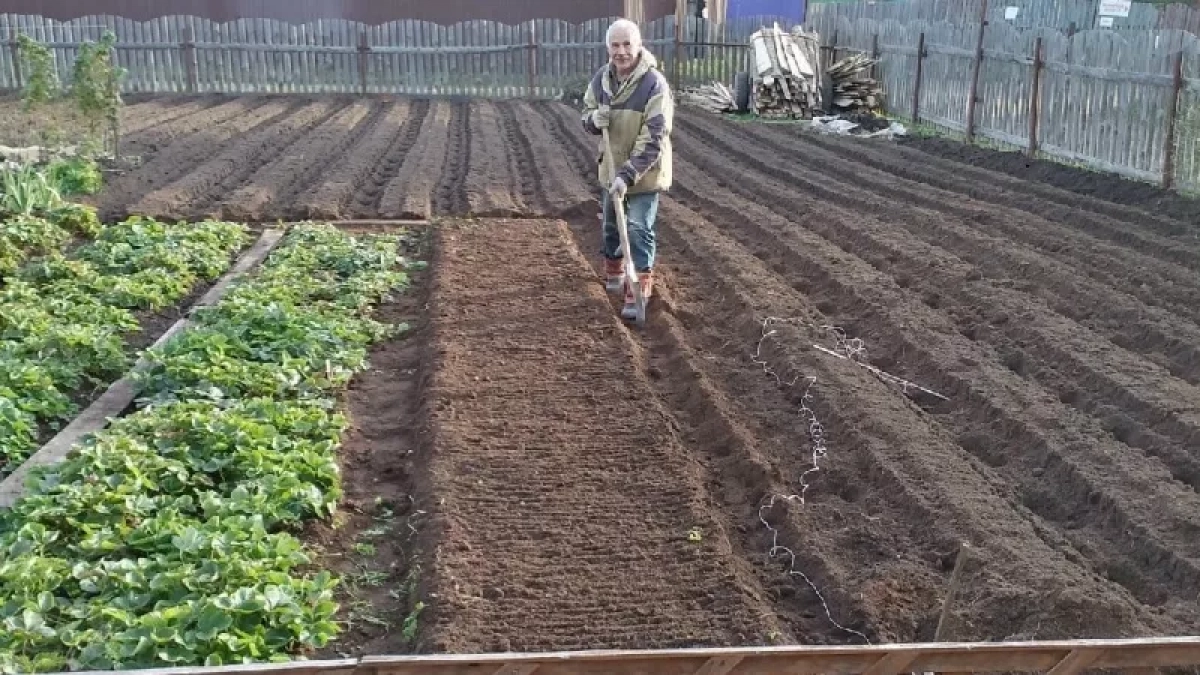 Из Кировской области в Китай отправили более 15 тысяч кубометров торфа