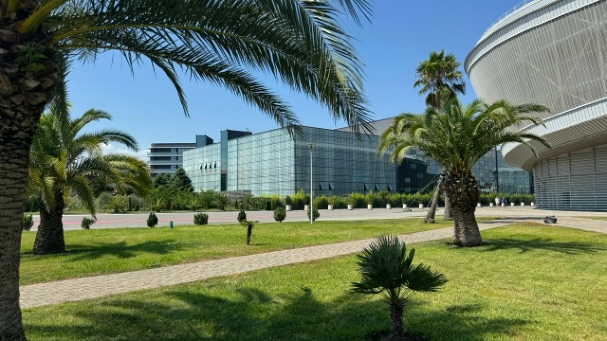 Я думала, что жизнь в Сочи — это пальмы, море после работы и лыжи каждые выходные. Но подруга сбежала обратно в Подмосковье — и вот почему