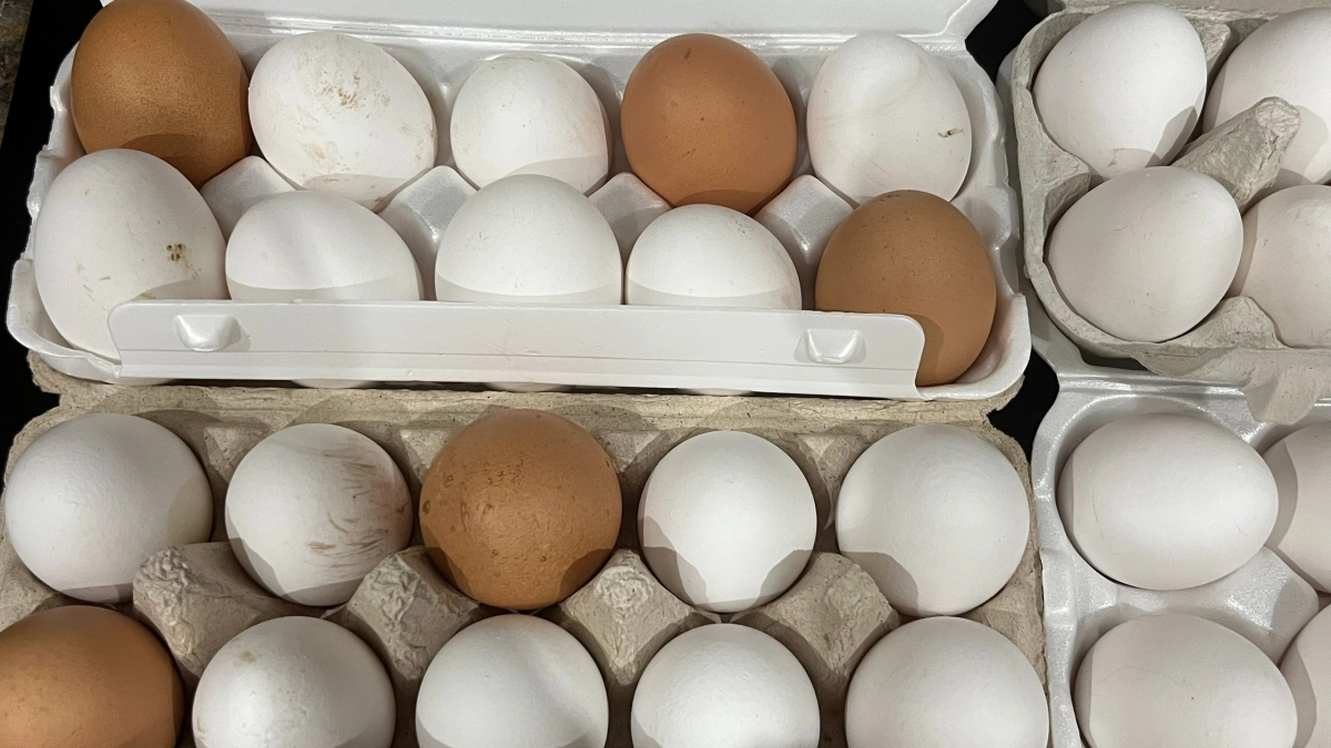 Острый конец вниз или вверх? Эксперты Роскачества объяснили, какое положение "продлевает жизнь" яйцам