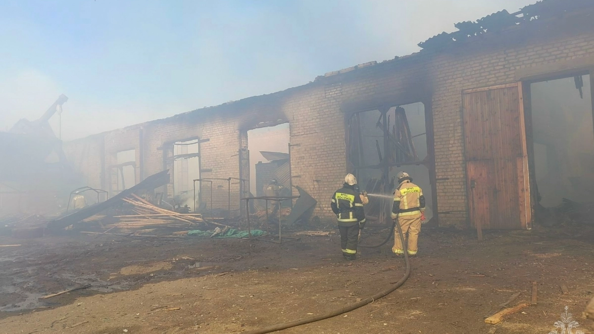 17 огнеборцев тушили мощный пожар в цехе деревообработки в Кировской области