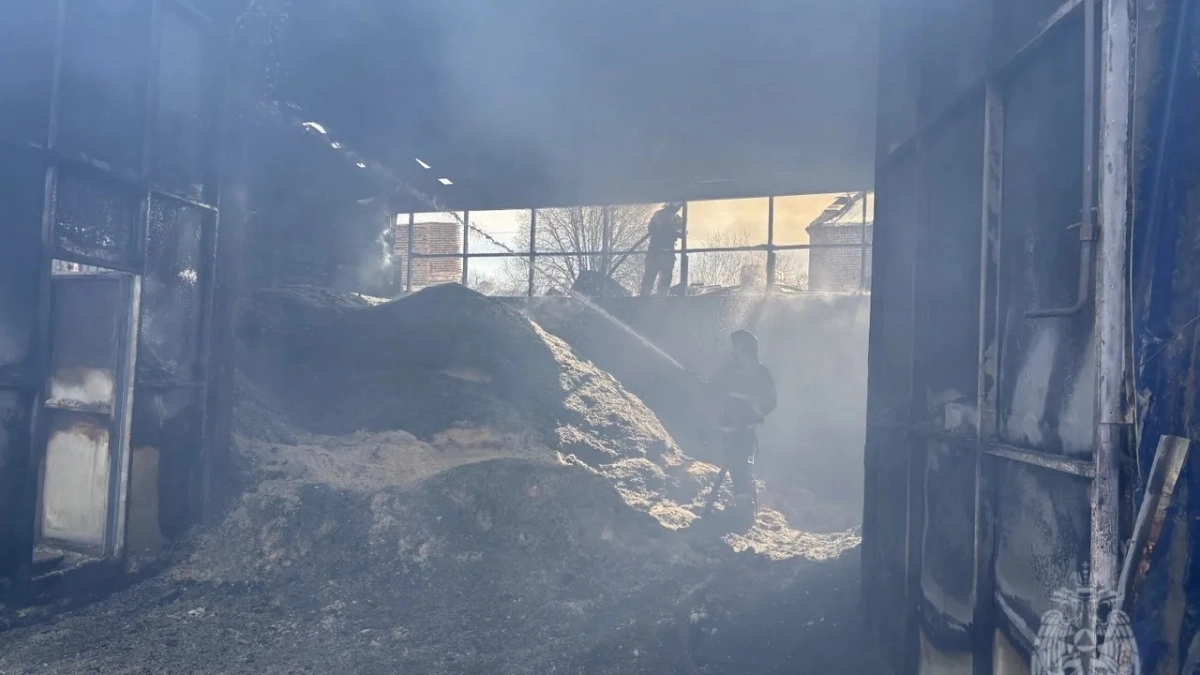 В Кировской области пожарные расчеты боролись с огнем в цехе деревообработки