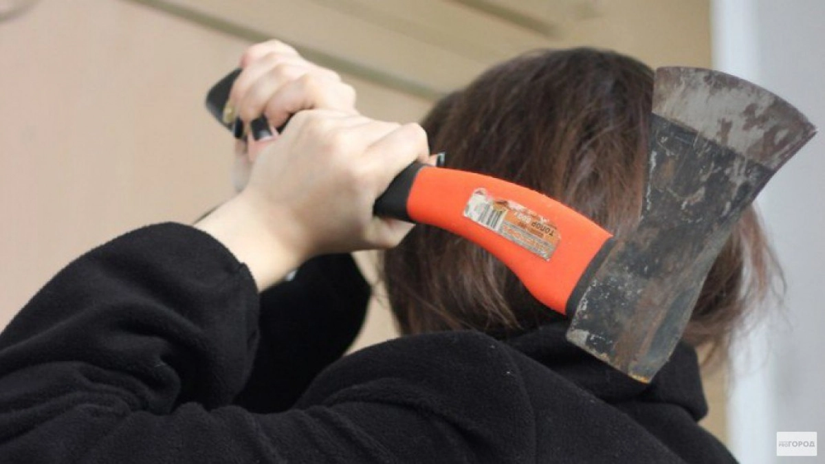 Пьяная чепчанка размахивала топором и хватала полицейских за одежду 