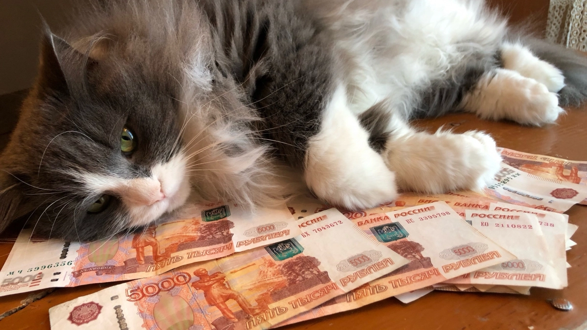 Вселенная слышит: как правильно просить деньги, чтобы они потекли рекой