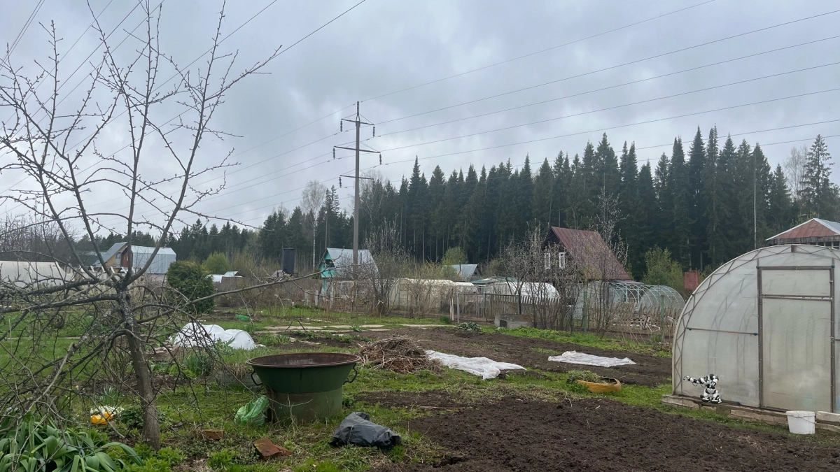 Не торопитесь высаживать, пока не сделаете всё по порядку: апрельская подготовка теплицы по науке