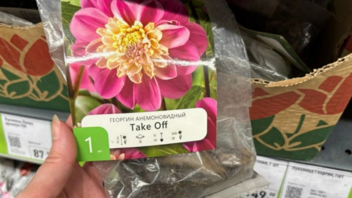 В Фикс Прайсе попала на новый завоз - нашла кучу цветов для посадки: от гладиолусов до азиатских лилий. Показываю фото