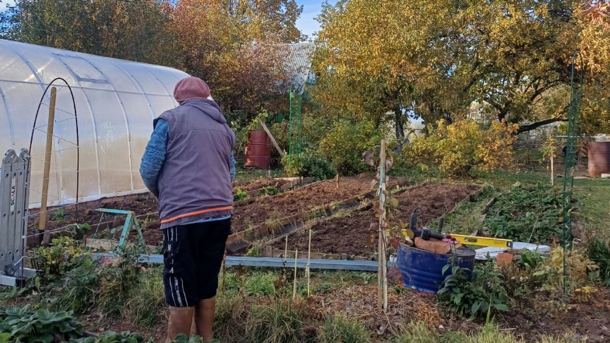 3 рецепта побелки, которые не боятся весенних ливней: правильные пропорции и состав