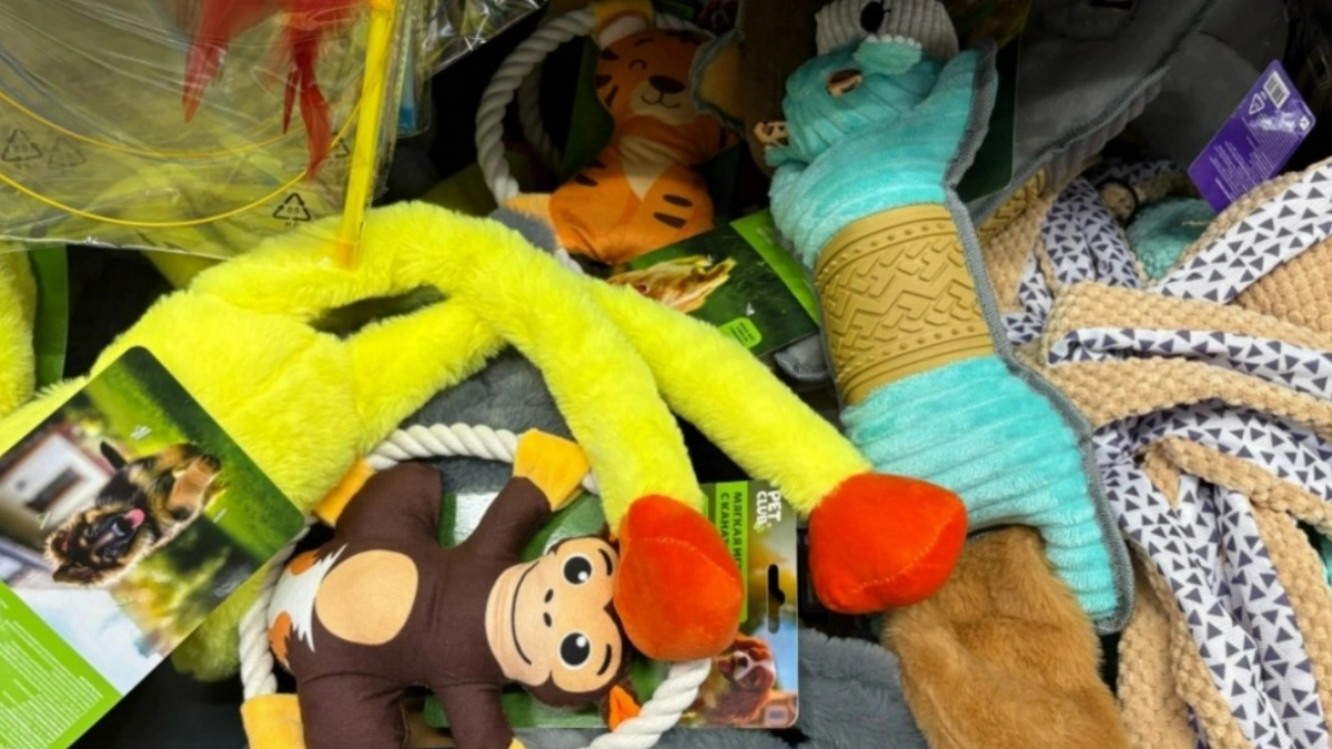 В Фикс Прайсе нашла новинки: 5 отличных товаров для собак - хозяева, обязательно берите на заметку