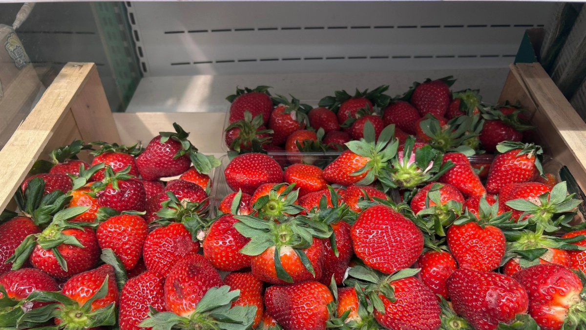 Четыре тонны киргизской клубники привезли в Кировскую область