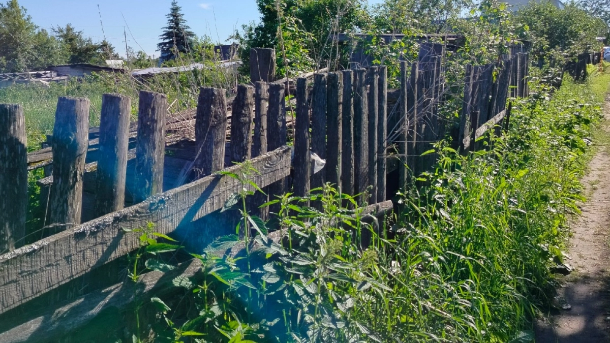 Секрет забора на 100 лет: как наши деды ставили столбы, которые не гниют и стоят до сих пор