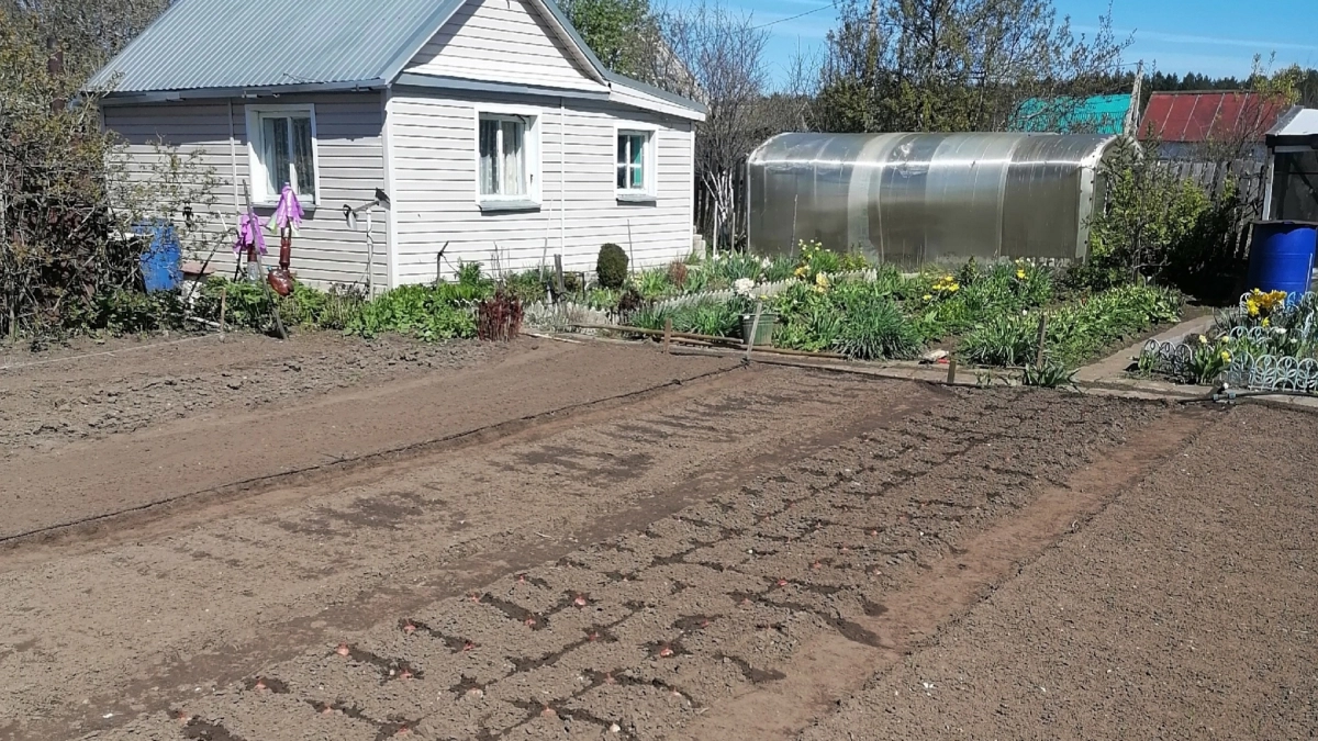 Почки набухают — сердце ёкает. Как в апреле за полчаса защитить сад от вредителей, пока не поздно