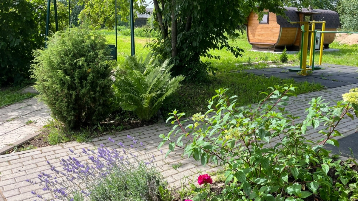 Накрыл, снял и пожалел: оказывается, нельзя укрывать геотекстилем землю от сорняков. Вот в чем дело  