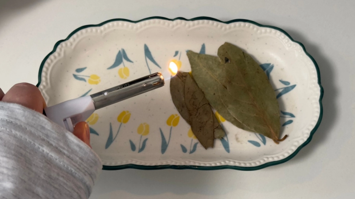 В мае поджигаю лавровый лист в квартире - метод странный, но логика в нем есть