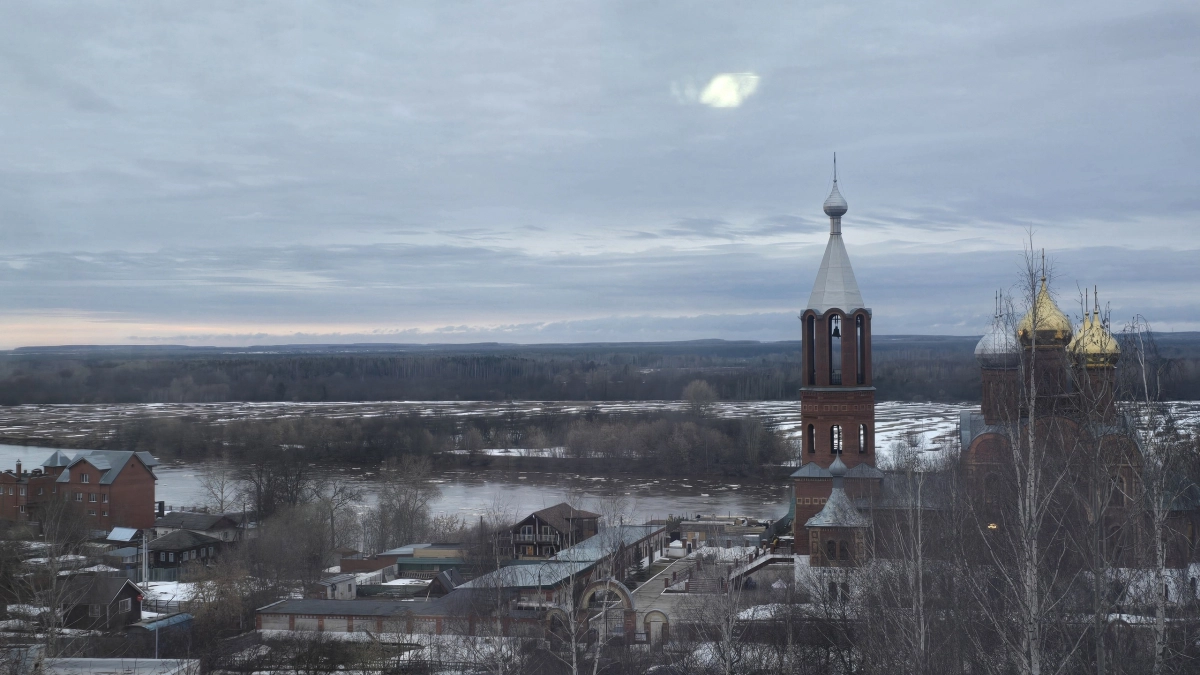 Упаковка под боком: почему бизнес в 2026 году начал делать ставку на местных поставщиков