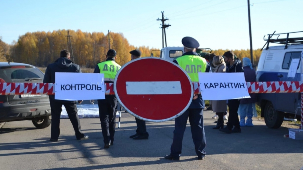 На юге Кировской области ввели карантин по бешенству из-за заболевшей собаки