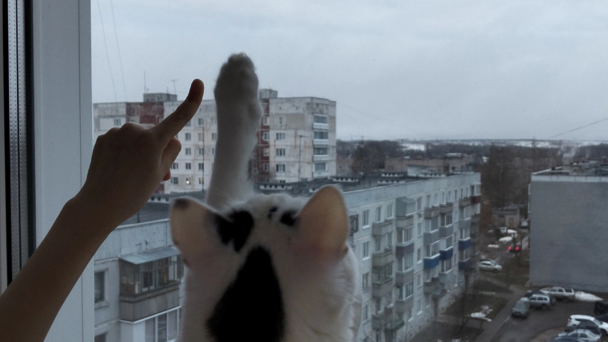 Окна сияют как горный ручей до самых заморозков: один раз помыл в мае — и забыл о грязи и пыли на 120 дней